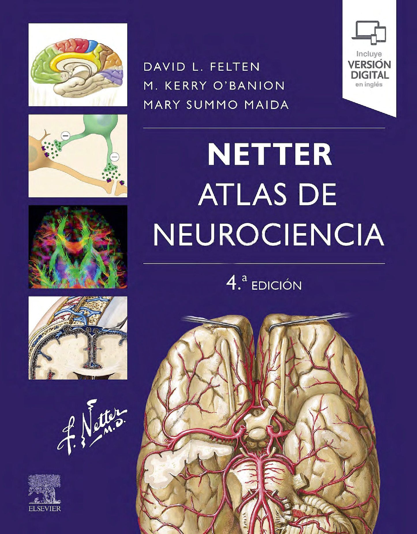 FELTEN, D.L.- NETTER. ATLAS DE NEUROCIENCIA, 4Ed., 2022