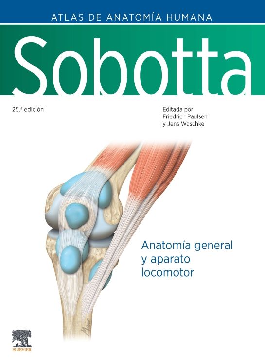 PAULSEN, F.- SOBOTTA. ATLAS DE ANATOMIA HUMANA. VOL 1, 25Ed., 2024