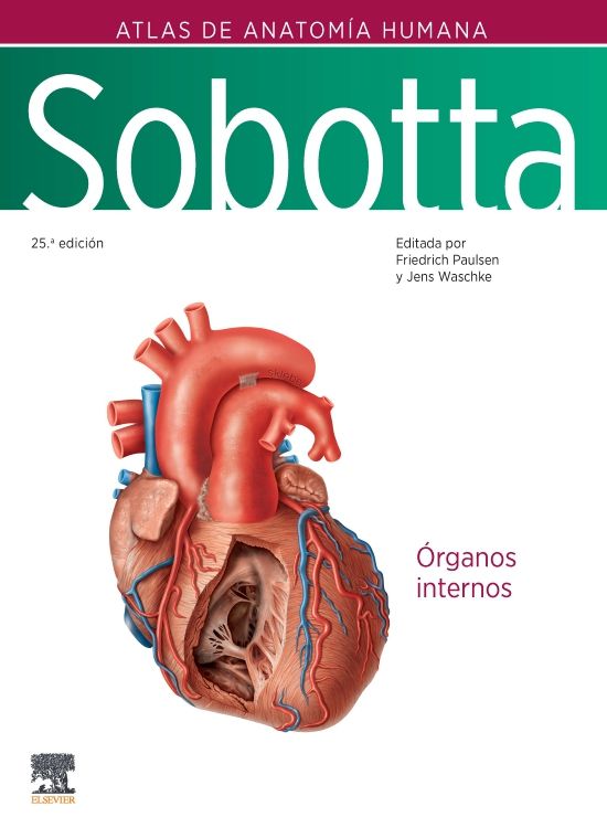 PAULSEN, F.- SOBOTTA. ATLAS DE ANATOMIA HUMANA. VOL 2, 25Ed., 2024