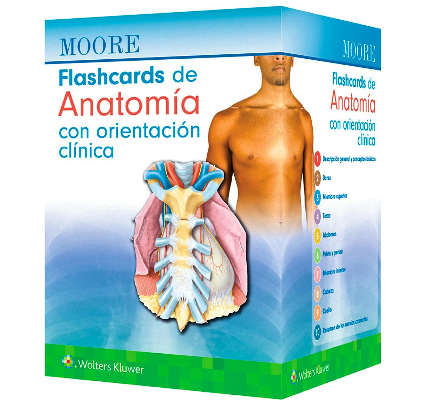 MOORE- FLASHCARDS DE ANATOMIA CON ORIENTACION CLINICA, 1.¦Ed.  2025