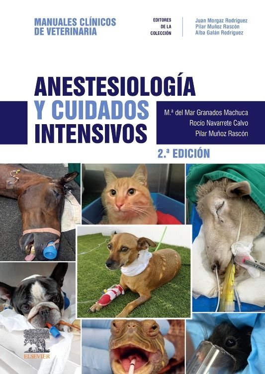 MUÑOZ, P.- ANESTESIOLOGIA Y CUIDADOS INTENSIVOS, 2Ed., 2025