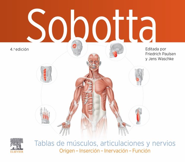 PAULSEN, F.- SOBOTTA. TABLAS DE MUSCULOS, ARTICULACIONES Y NERVIOS, 4Ed., 2024
