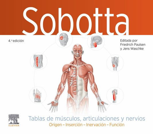 PAULSEN, F.- SOBOTTA. TABLAS DE MUSCULOS, ARTICULACIONES Y NERVIOS, 4Ed., 2024