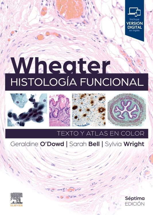 OïDOWD, G.- WHEATER. HISTOLOGIA FUNCIONAL, 7Ed., 2024