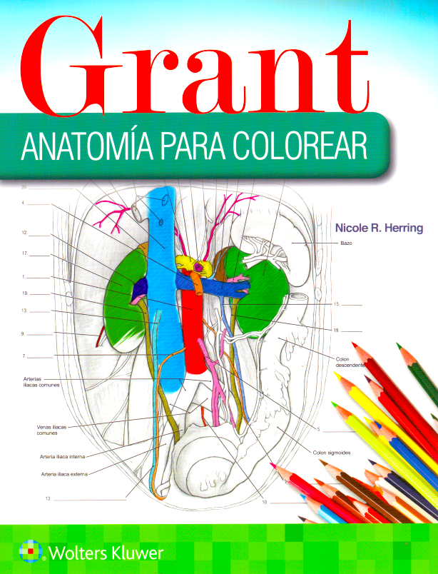 HERRING- GRANT. ANATOMIA PARA COLOREAR, 1¦.Ed.  2019