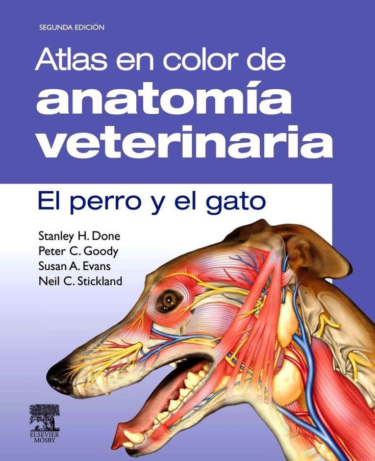 DONE- EL PERRO Y EL GATO.ATLAS A COLOR ANATOMIA VETERINARIA 2E, 2Ed., 2010