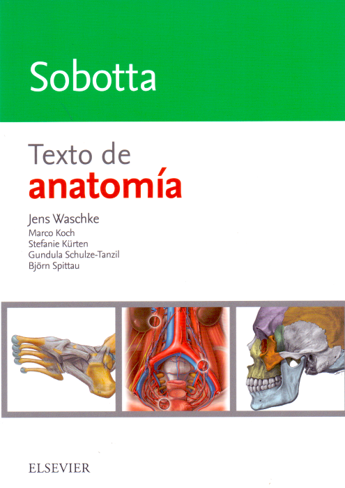 WASCHKE, J.- SOBOTTA. TEXTO DE ANATOMIA, 1Ed., 2018