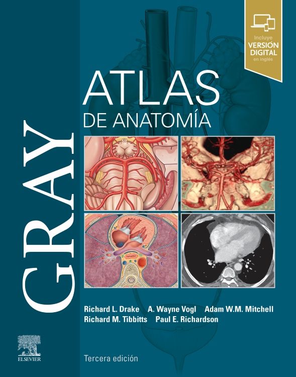 DRAKE, R.L.- GRAYïS ATLAS DE ANATOMIA, 3Ed., 2021